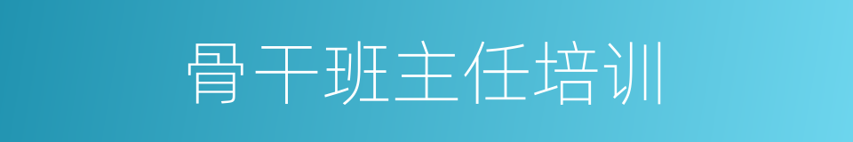 骨干班主任培训的同义词