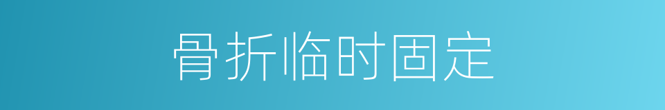 骨折临时固定的同义词