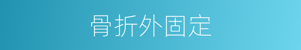 骨折外固定的同义词