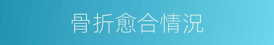骨折愈合情況的同義詞