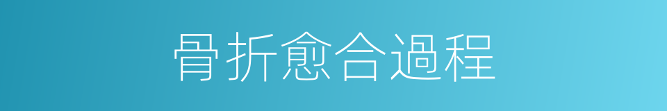 骨折愈合過程的同義詞
