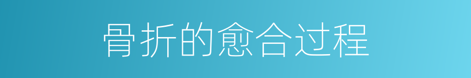 骨折的愈合过程的同义词