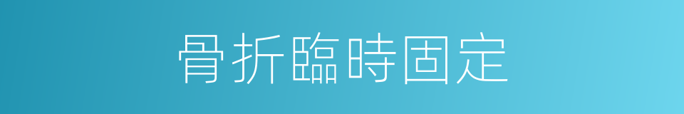 骨折臨時固定的同義詞