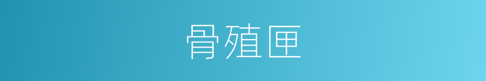 骨殖匣的意思