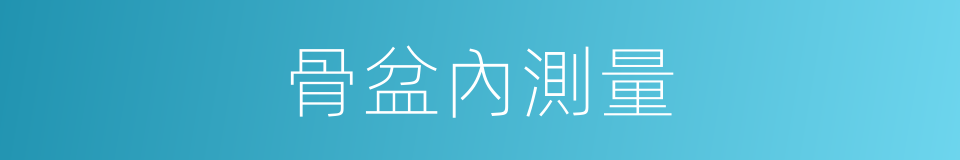 骨盆內測量的同義詞