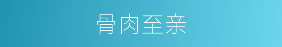 骨肉至亲的意思