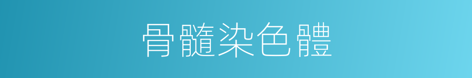 骨髓染色體的同義詞