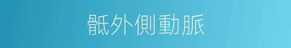 骶外側動脈的同義詞