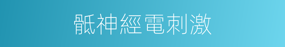 骶神經電刺激的同義詞