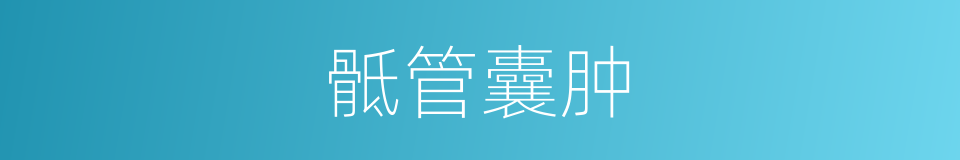 骶管囊肿的同义词