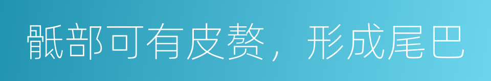 骶部可有皮赘，形成尾巴的同义词