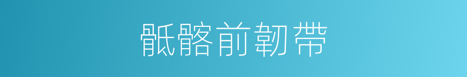 骶髂前韌帶的同義詞