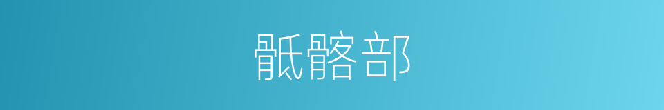 骶髂部的同义词