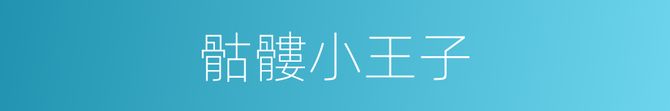 骷髏小王子的同義詞