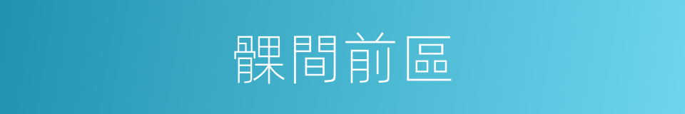 髁間前區的同義詞