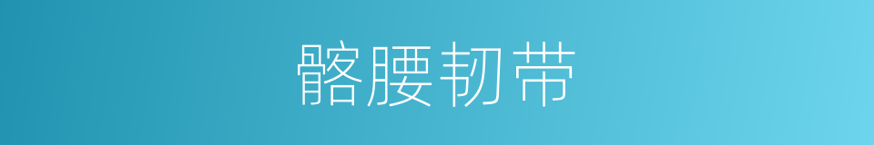 髂腰韧带的同义词