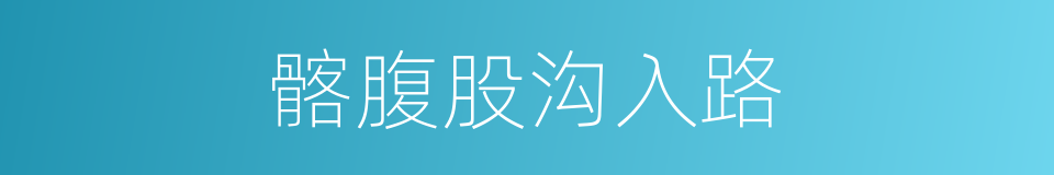髂腹股沟入路的同义词