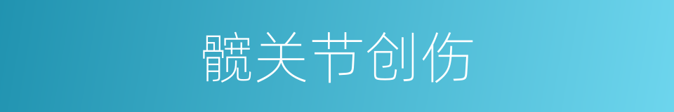 髋关节创伤的同义词