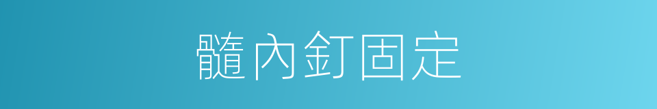 髓內釘固定的同義詞
