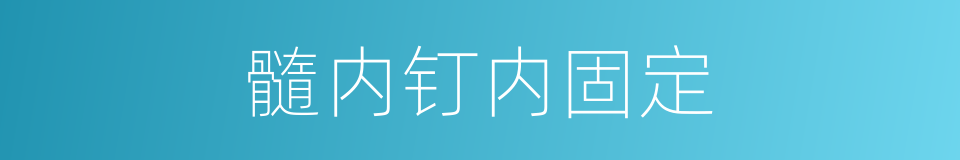 髓内钉内固定的同义词