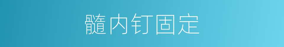 髓内钉固定的同义词