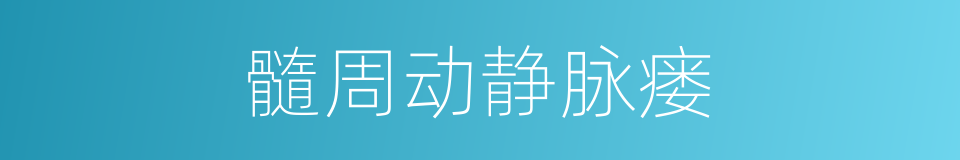 髓周动静脉瘘的同义词