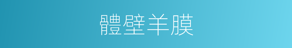 體壁羊膜的同義詞
