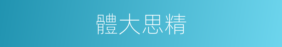 體大思精的意思