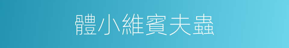 體小維賓夫蟲的同義詞