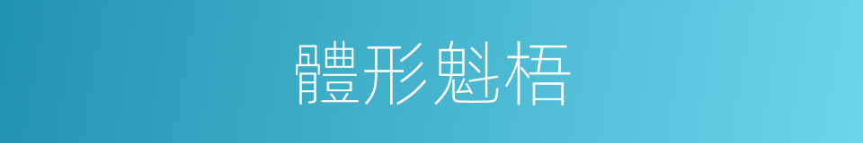 體形魁梧的同義詞