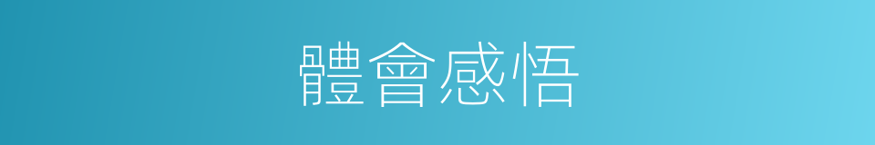 體會感悟的同義詞