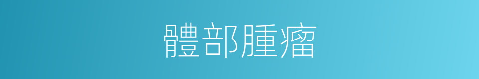 體部腫瘤的同義詞