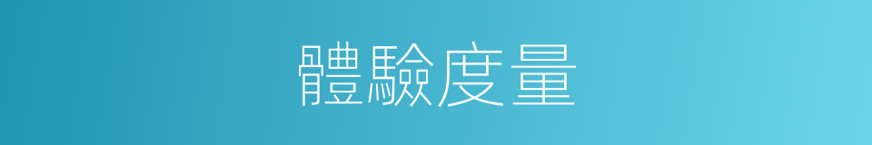 體驗度量的同義詞