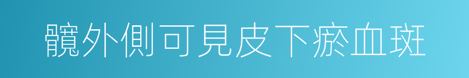 髖外側可見皮下瘀血斑的同義詞