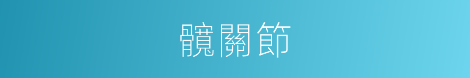 髖關節的意思