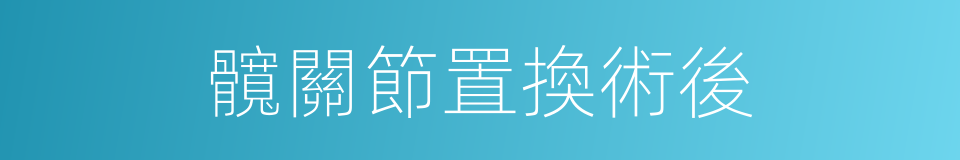 髖關節置換術後的同義詞