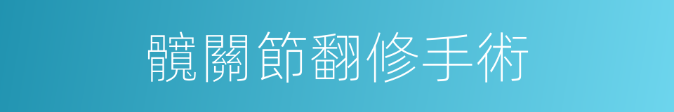 髖關節翻修手術的同義詞