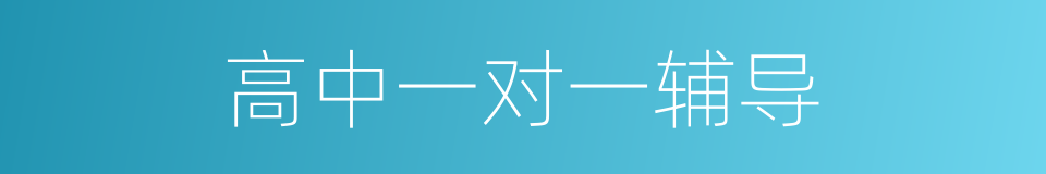 高中一对一辅导的同义词