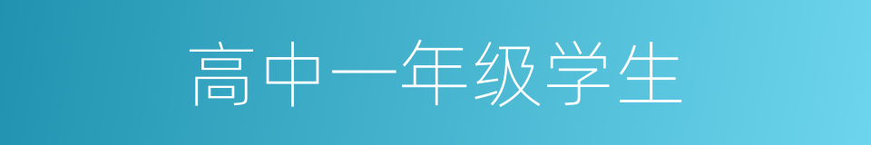 高中一年级学生的同义词