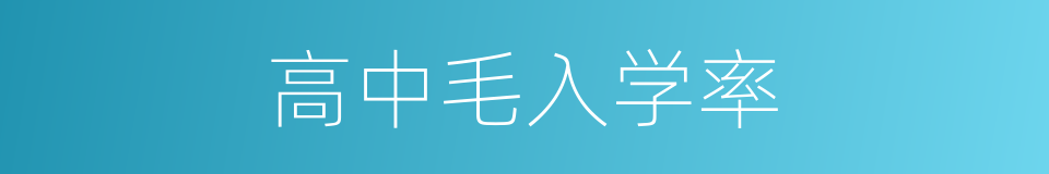 高中毛入学率的同义词