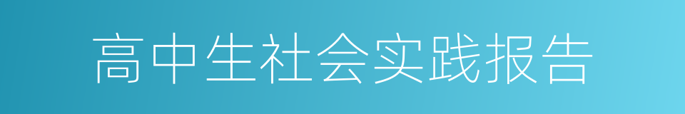 高中生社会实践报告的同义词