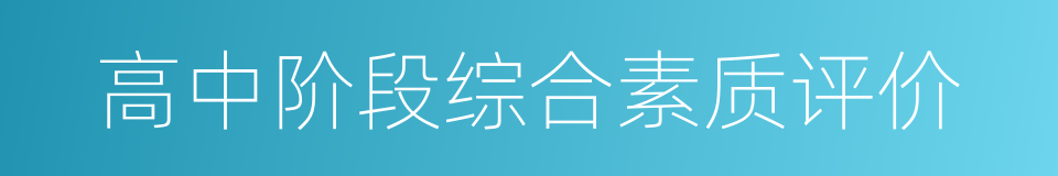 高中阶段综合素质评价的同义词