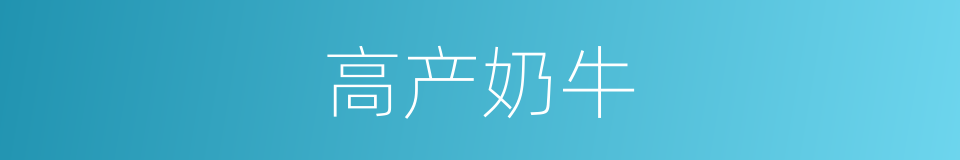 高产奶牛的同义词