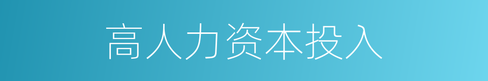 高人力资本投入的同义词