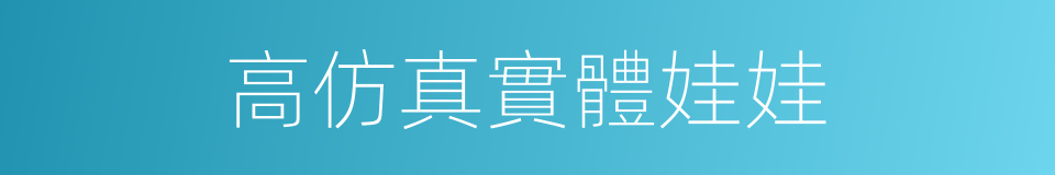 高仿真實體娃娃的同義詞