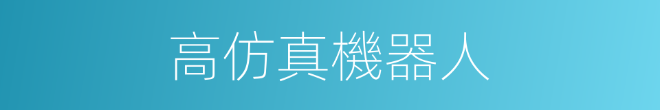 高仿真機器人的同義詞