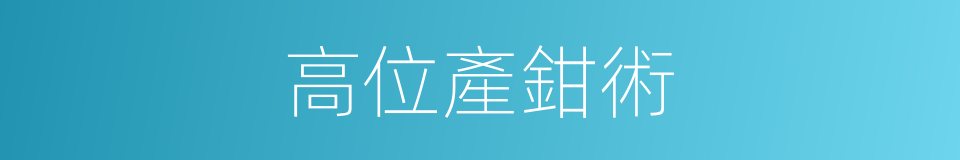 高位產鉗術的同義詞