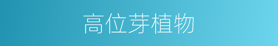 高位芽植物的同义词