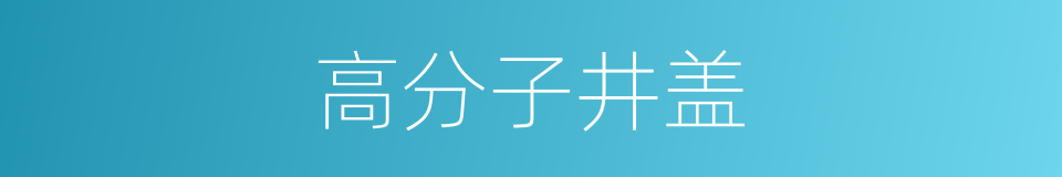 高分子井盖的同义词