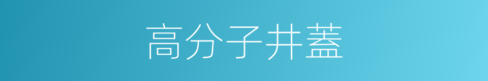 高分子井蓋的同義詞